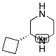 (R)-2-CYCLOBUTYL-PIPERAZINE Struktur