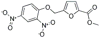 METHYL 5-[(2,4-DINITROPHENOXY)METHYL]-2-FUROATE Struktur