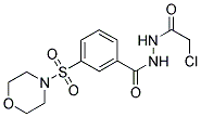 N'-(CHLOROACETYL)-3-(MORPHOLIN-4-YLSULFONYL)BENZOHYDRAZIDE Struktur