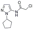 2-CHLORO-N-(1-CYCLOPENTYL-1H-PYRAZOL-5-YL)ACETAMIDE Struktur