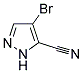 4-BROMO-2H-PYRAZOLE-3-CARBONITRILE Struktur