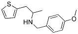 N-(4-METHOXYBENZYL)-N-(1-METHYL-2-THIEN-2-YLETHYL)AMINE Struktur