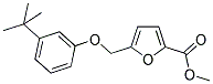 METHYL 5-[(3-TERT-BUTYLPHENOXY)METHYL]-2-FUROATE Struktur