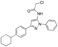 2-CHLORO-N-[5-(4-CYCLOHEXYL-PHENYL)-2-PHENYL-2H-PYRAZOL-3-YL]-ACETAMIDE Struktur