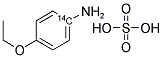 4-ETHOXYANILINE, SULFATE, [RING-14C]- Struktur