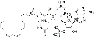 LINOLENOYL COENZYME A, [LINOLENOYL 6,9,12-1-14C] Struktur