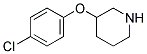 3-(4-CHLOROPHENOXY)PIPERIDINE Struktur