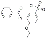 3-BENZOYLAMINO-4-ETHOXY-BENZENESULFONYL CHLORIDE Struktur