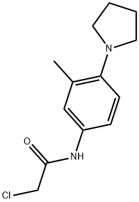 2-CHLORO-N-(3-METHYL-4-PYRROLIDIN-1-YLPHENYL)ACETAMIDE Struktur