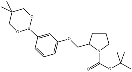 TERT-BUTYL 2-[[3-(5,5-DIMETHYL-1,3,2-DIOXABORINAN-2-YL)PHENOXY]METHYL]PYRROLIDINE-1-CARBOXYLATE Struktur