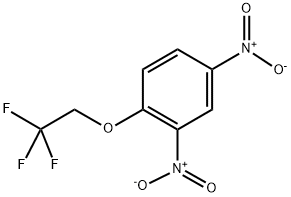 1,3-DINITRO-4-(2,2,2-TRIFLUOROETHOXY)BENZENE Struktur