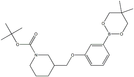 TERT-BUTYL 3-[[3-(5,5-DIMETHYL-1,3,2-DIOXABORINAN-2-YL)PHENOXY]METHYL]PIPERIDINE-1-CARBOXYLATE Struktur