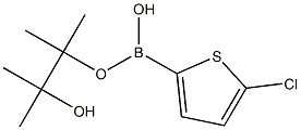 2-CHLOROTHIOPHENE-5-BORONIC ACID PINACOL ESTER Struktur