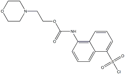 (5-CHLOROSULFONYL-NAPHTHALEN-1-YL)-CARBAMIC ACID 2-MORPHOLIN-4-YL-ETHYL ESTER Struktur