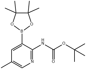 2-TERT-BUTYLOXYCARBONYLAMINO-5-METHYLPYRIDINE-3-BORONIC ACID PINACOL ESTER Struktur