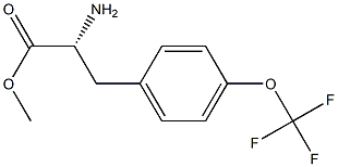 METHYL (2R)-2-AMINO-3-[4-(TRIFLUOROMETHOXY)PHENYL]PROPANOATE Struktur