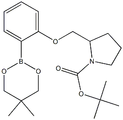 TERT-BUTYL 2-[[2-(5,5-DIMETHYL-1,3,2-DIOXABORINAN-2-YL)PHENOXY]METHYL]PYRROLIDINE-1-CARBOXYLATE Struktur