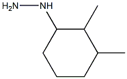 2,3-DIMETHYLCYCLOHEXYL-HYDRAZINE Struktur