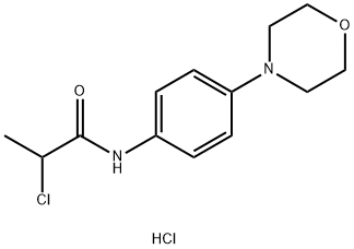 2-CHLORO-N-(4-MORPHOLIN-4-YLPHENYL)PROPANAMIDE HYDROCHLORIDE Struktur