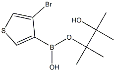 3-BROMOTHIOPHENE-4-BORONIC ACID PINACOL ESTER Struktur