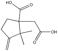 1-(CARBOXYMETHYL)-2,2-DIMETHYL-3-METHYLENECYCLOPENTANECARBOXYLIC ACID Struktur