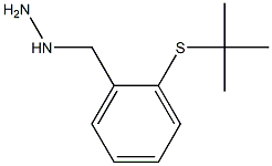 [2-(TERT-BUTYL-SULFANYL)-BENZYL]-HYDRAZINE Struktur