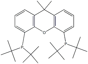 9,9-DIMETHYL-4,5-BIS(DI-TERT-BUTYLPHOSPHINO)XANTHENE Struktur