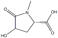 4-HYDROXY-1-METHYL-5-OXOPROLINE Struktur