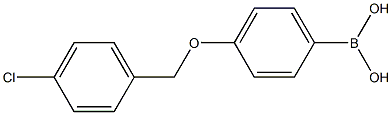 4-(4'-CHLOROBENZYLOXY)PHENYLBORONIC ACID Struktur