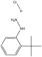 (2-TERT-BUTYL-PHENYL)-HYDRAZINE HYDROCHLORIDE Struktur