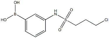 3-(3-CHLOROPROPYLSULFONAMIDO)PHENYLBORONIC ACID Struktur