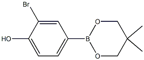 2-BROMO-4-(5,5-DIMETHYL-1,3,2-DIOXABORINAN-2-YL)PHENOL Struktur