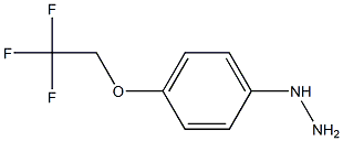 4-(2,2,2-TRIFLUOROETHOXY)PHENYL HYDRAZINE Struktur