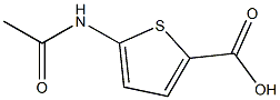 2-THIOPHENECARBOXYLIC ACID, 5-(ACETYLAMINO)- Struktur