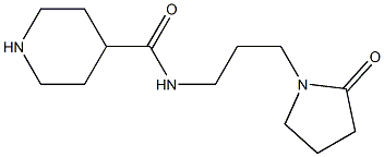 N-[3-(2-OXOPYRROLIDIN-1-YL)PROPYL]PIPERIDINE-4-CARBOXAMIDE Struktur