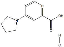 4-PYRROLIDIN-1-YLPYRIDINE-2-CARBOXYLIC ACID HYDROCHLORIDE Struktur