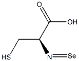 SELENO-CYSTEINE Struktur