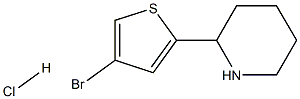 2-(4-BROMO-2-THIENYL)PIPERIDINE HYDROCHLORIDE Struktur