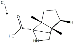 (1R,3R,6S,7R)-6,7-DIMETHYL-4-AZATRICYCLO[4.3.0.0(3,7)]NONANE-3-CARBOXYLIC ACID HYDROCHLORIDE Struktur