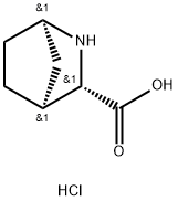 (1R,3S,4S)-2-AZABICYCLO[2.2.1]HEPTANE-3-CARBOXYLIC ACID HYDROCHLORIDE Struktur