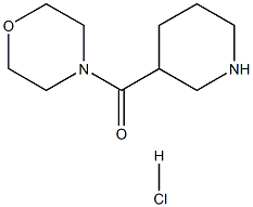 4-(PIPERIDIN-3-YLCARBONYL)MORPHOLINE HYDROCHLORIDE Struktur