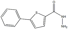 5-PHENYLTHIOPHENE-2-CARBOHYDRAZIDE Struktur