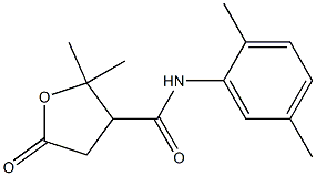 N-(2,5-DIMETHYLPHENYL)-2,2-DIMETHYL-5-OXOTETRAHYDROFURAN-3-CARBOXAMIDE Struktur