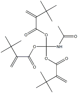 N-ACETYLAMINO-TRI-(T-BUTYLACRYLATE)METHANE Struktur