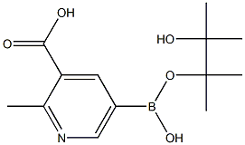 2-METHYLCARBOXYPYRIDINE-5-BORONIC ACID PINACOL ESTER Struktur