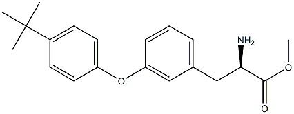 METHYL (2R)-2-AMINO-3-(3-[4-(TERT-BUTYL)PHENOXY]PHENYL)PROPANOATE Struktur