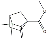 METHYL 3,3-DIMETHYL-2-METHYLENEBICYCLO[2.2.1]HEPTANE-1-CARBOXYLATE Struktur