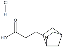 3-(2-AZA-BICYCLO[2.2.1]HEPT-2-YL)-PROPIONIC ACID HYDROCHLORIDE Struktur