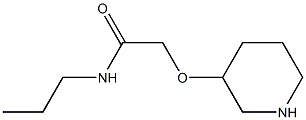 2-(PIPERIDIN-3-YLOXY)-N-PROPYL-ACETAMIDE Struktur