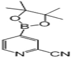 2-氰基-4-吡啶硼酸頻哪醇